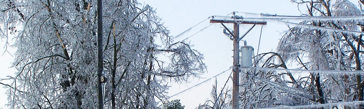 Ice buildup on trees and power lines
